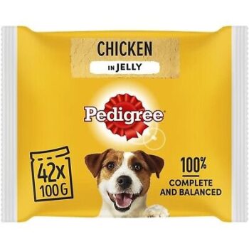 42 x 100g Pedigree Adult Wet Dog Food Pouches Chicken in Jelly